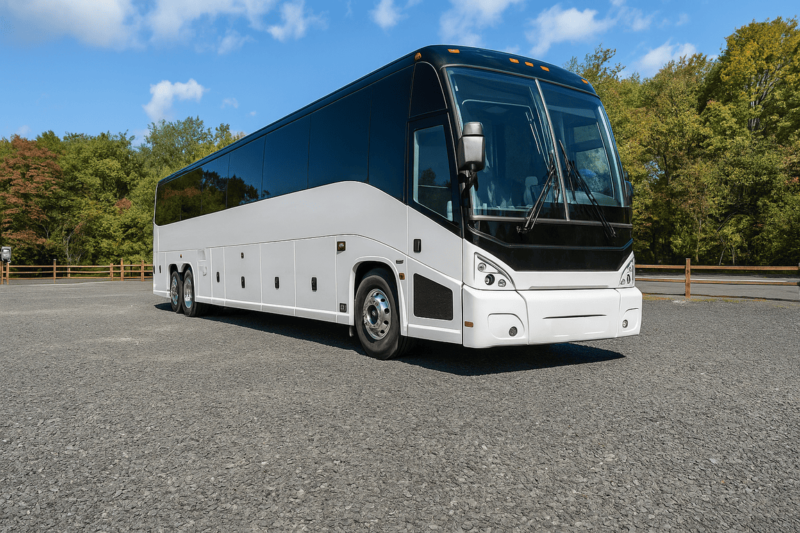 picture of New Britain Coach Bus Service coach bus